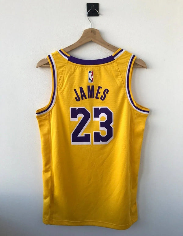 Lebron James #23 Los Angeles Lakers Jersey Nba Basketball Swingman Nike
